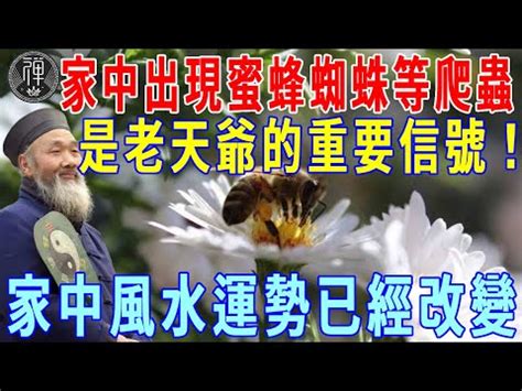 黃蜂築巢風水|【蜂窩風水】家有蜂窩風水：黃蜂來了是吉是禍！破解隱藏玄機